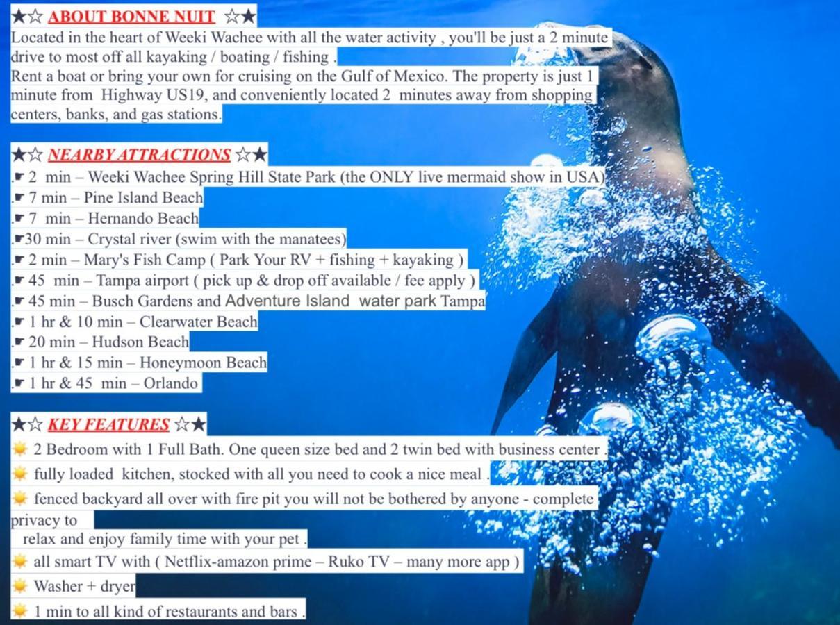 Bonne Nuit Weeki Wachee Villa Ngoại thất bức ảnh