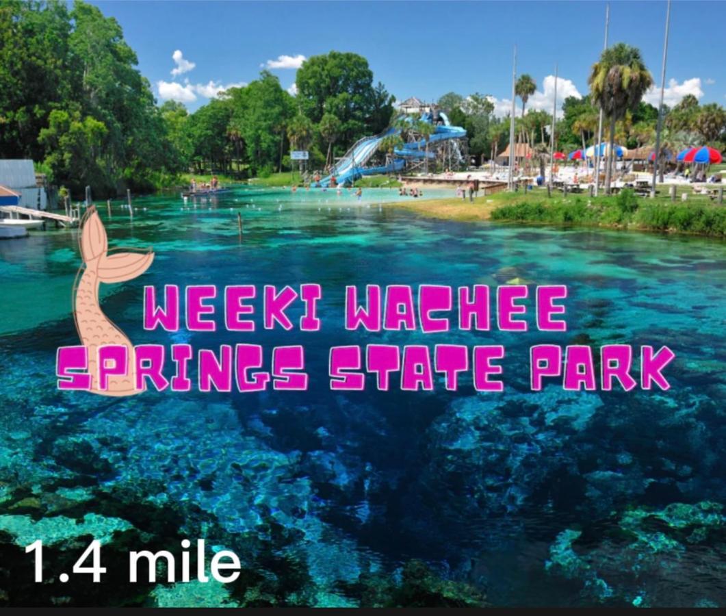 Bonne Nuit Weeki Wachee Villa Ngoại thất bức ảnh